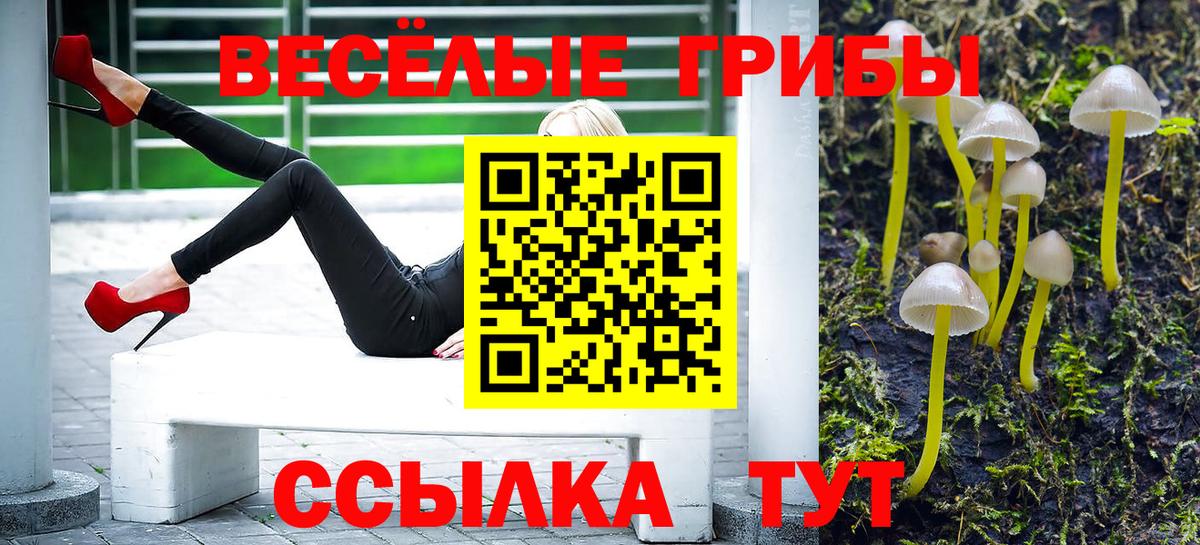 Галлюциногенные грибы мицелий Тимашёвск